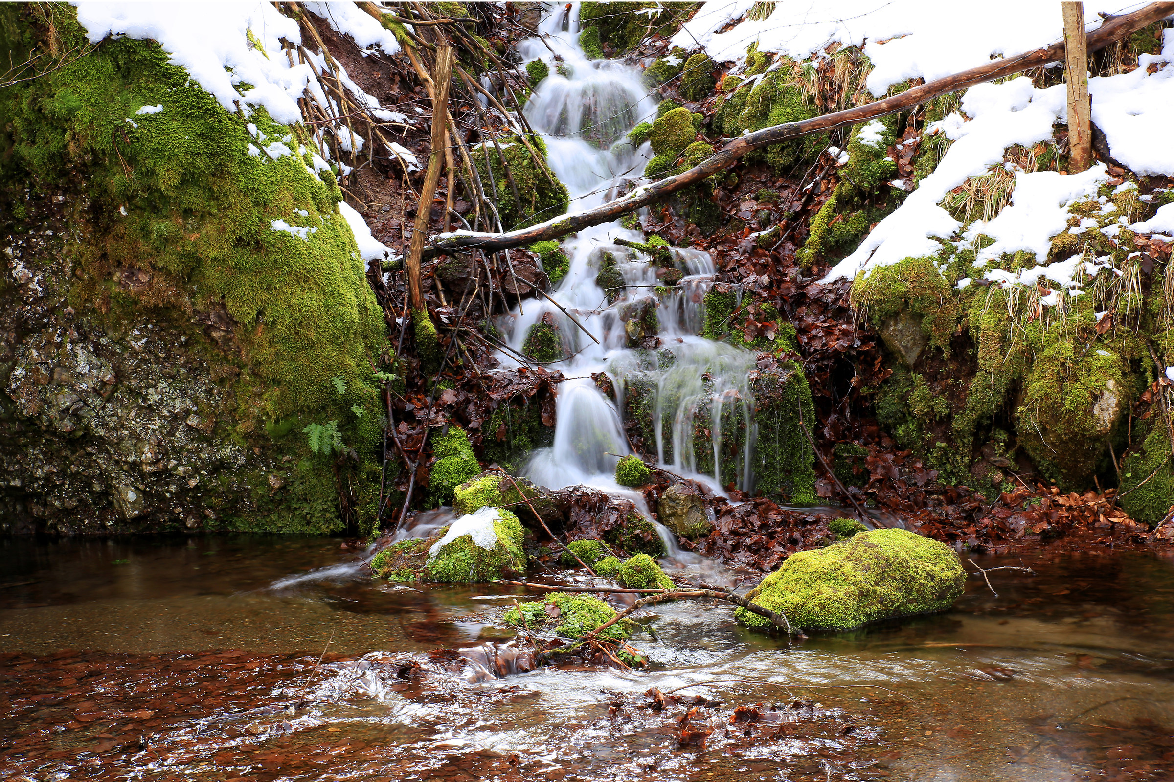 La rinassa Torrio v.aveto