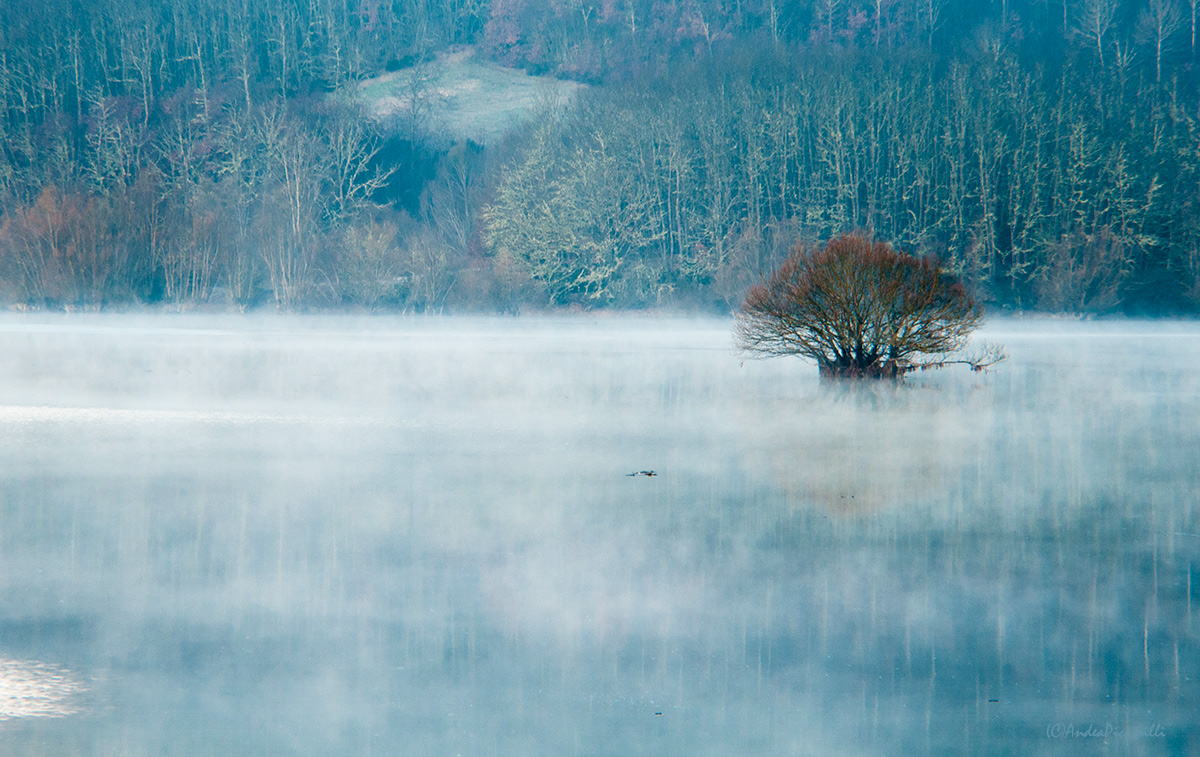 I remember one winter