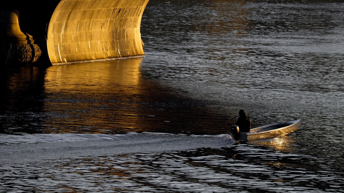 lights and shadows ................