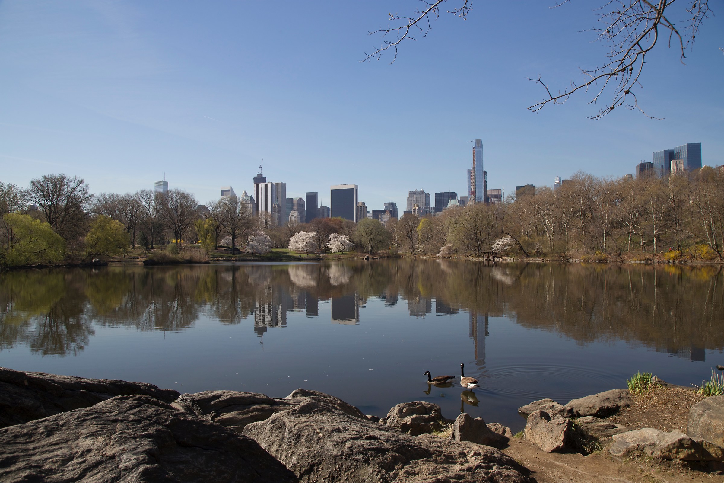 A View from the Bridge