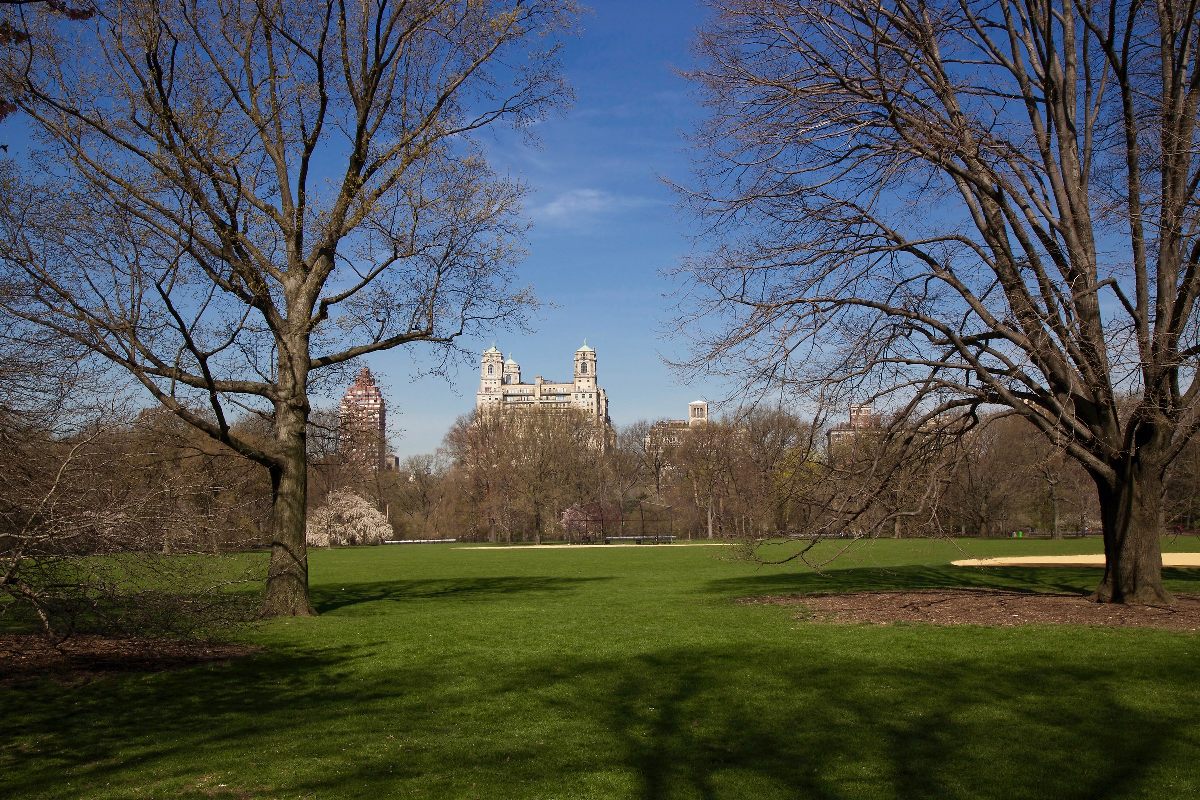 The view from the park