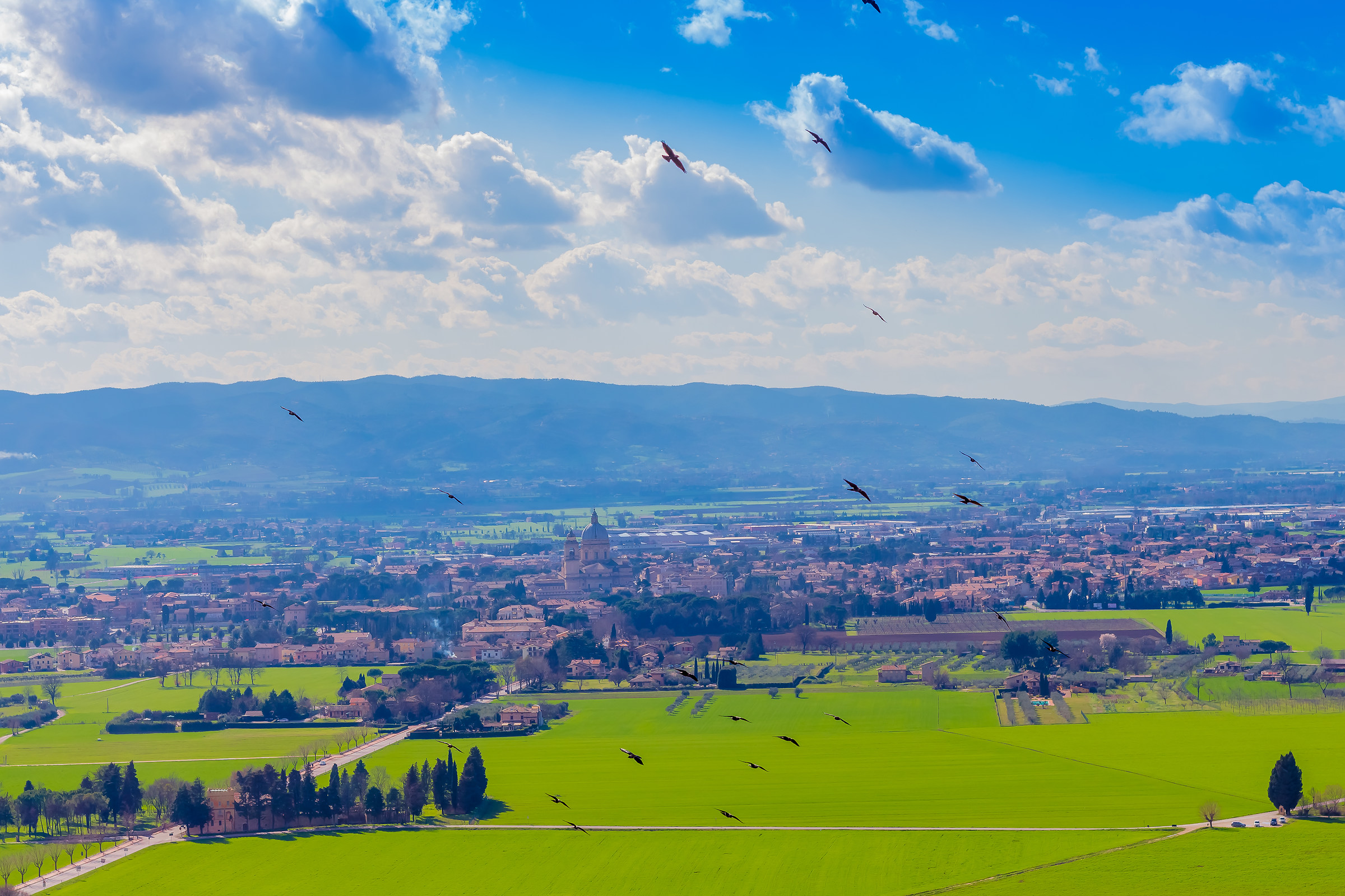 view of Santa Maria degli Angeli
