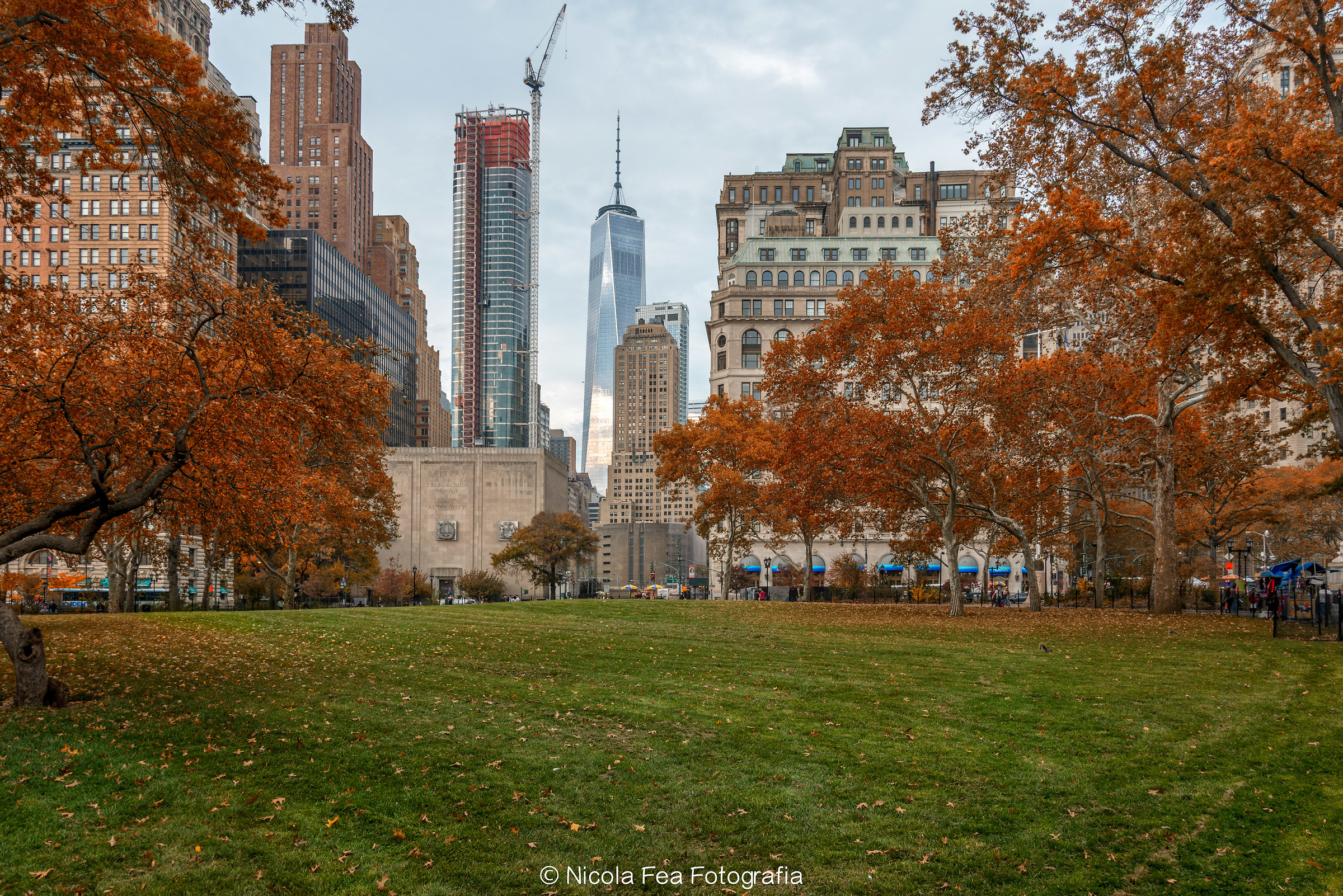 Foliage in Battery Park