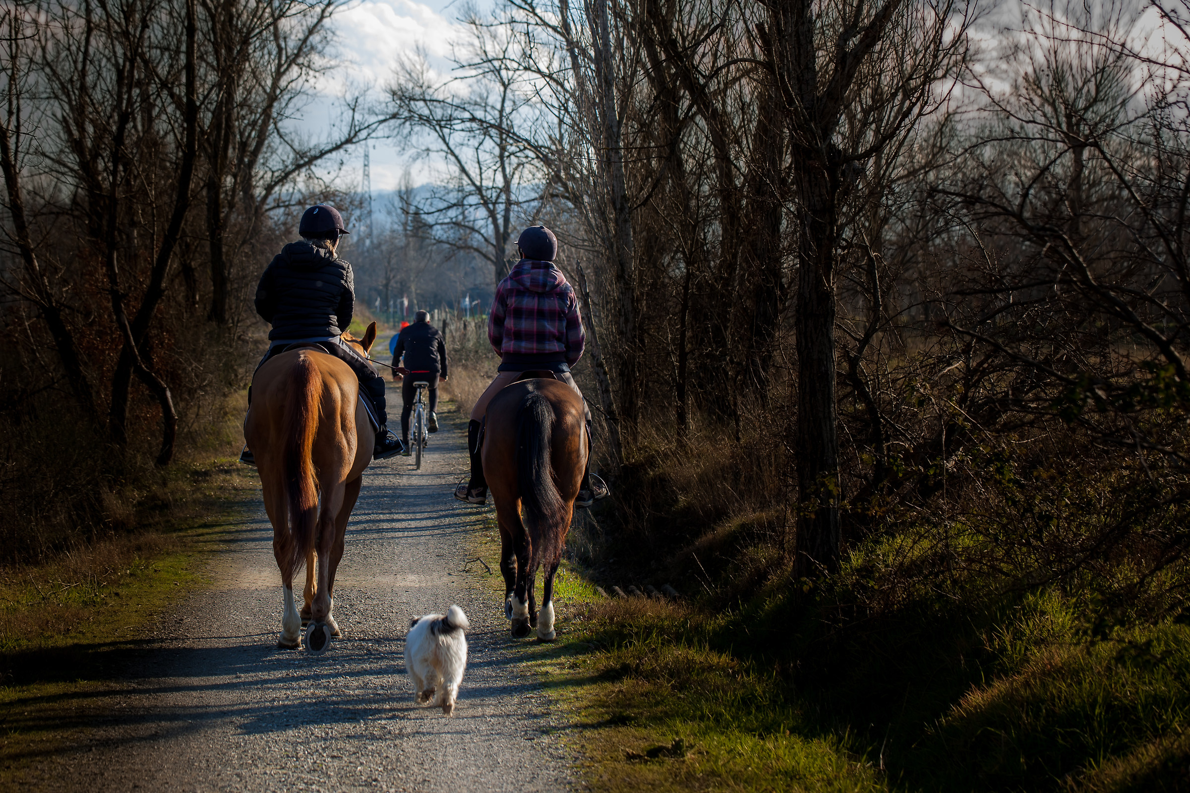 Nature trail - Vignola - Spilamberto
