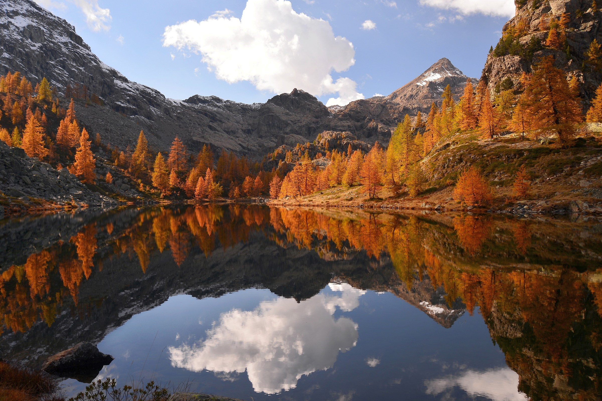 Magico parco dell' Avic