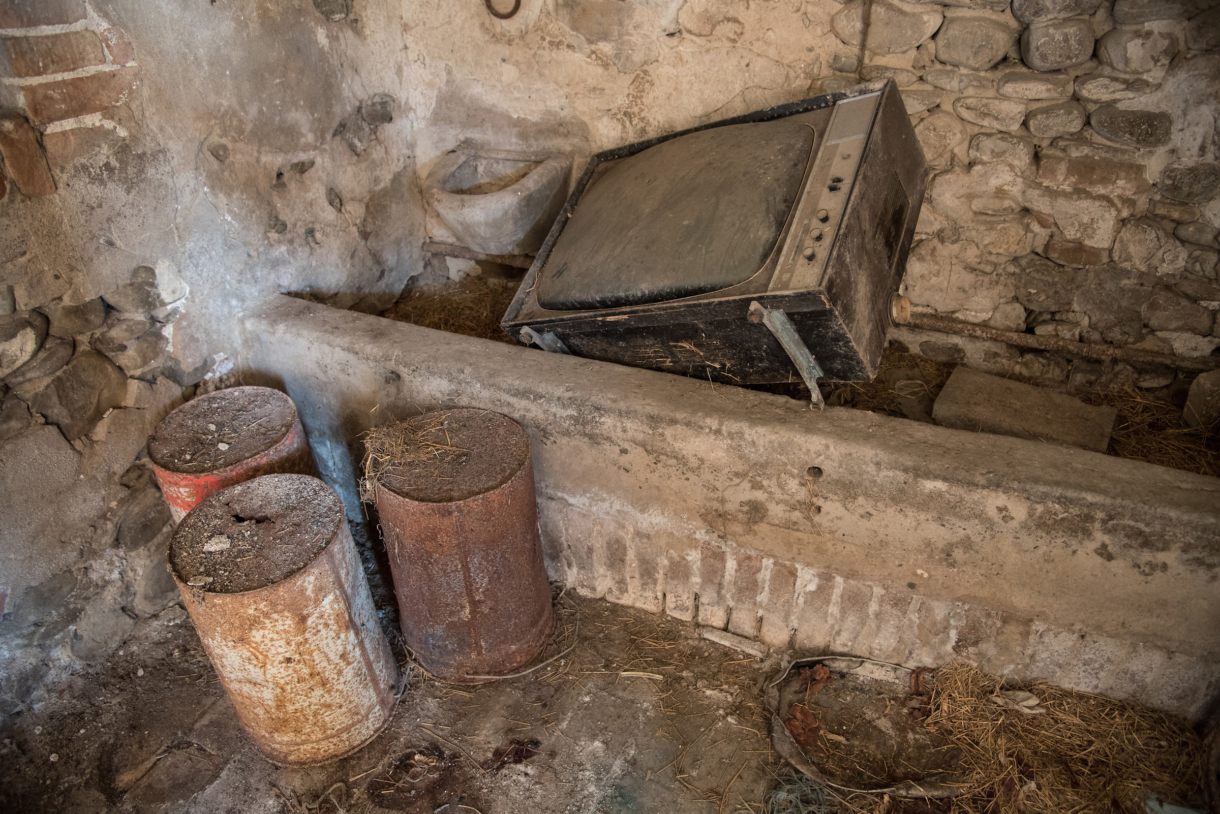 La tele e la mangiatoia