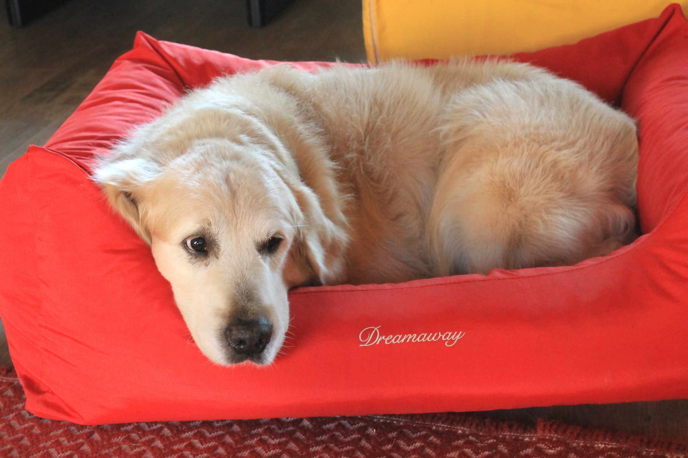 Il peso della vecchiaia