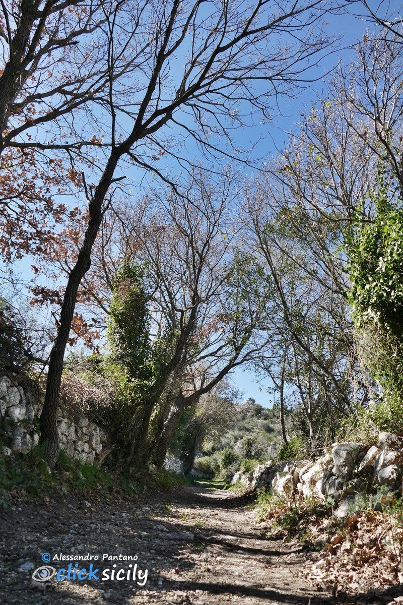 Sentiero Naturalistico