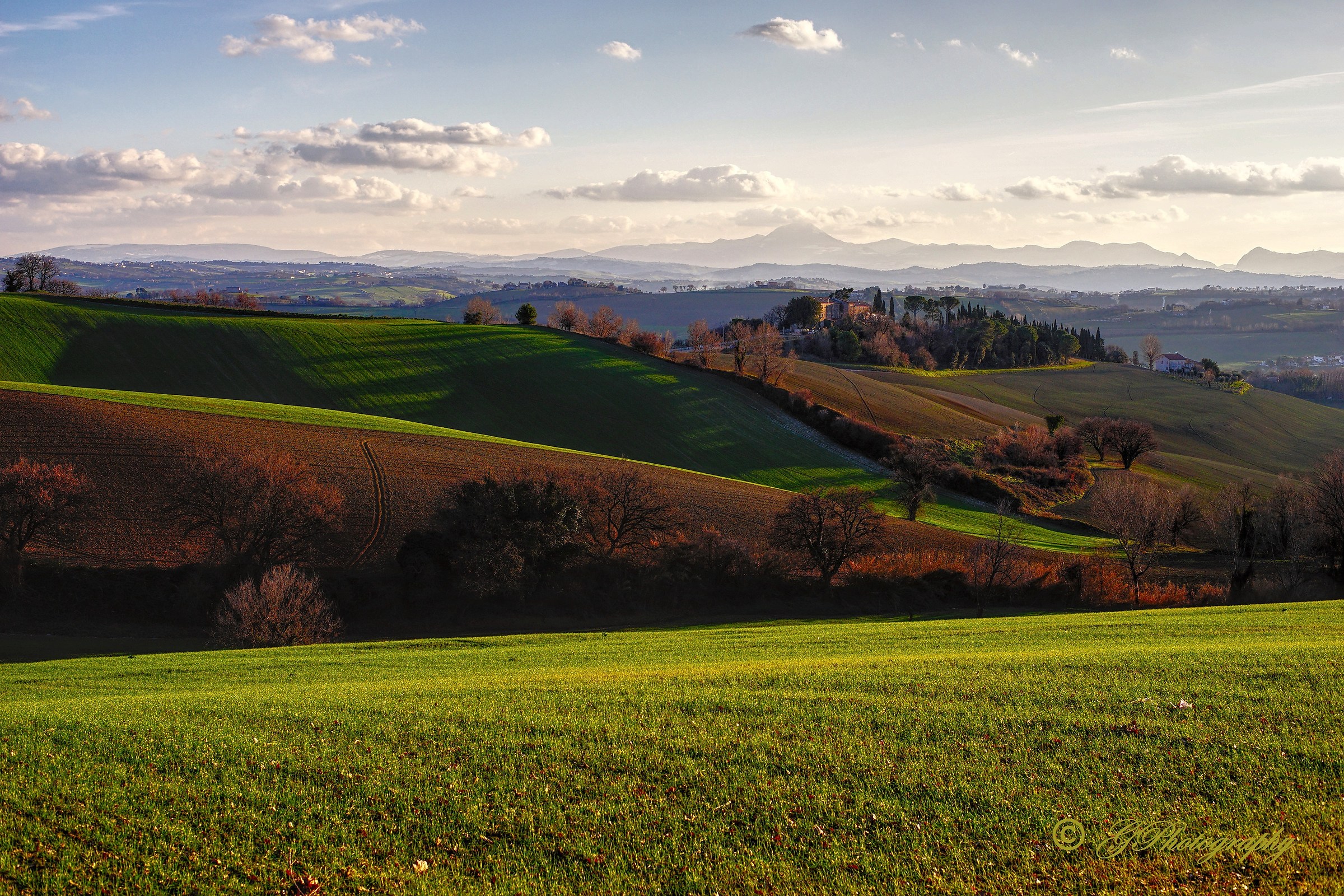 From here on the Horizon