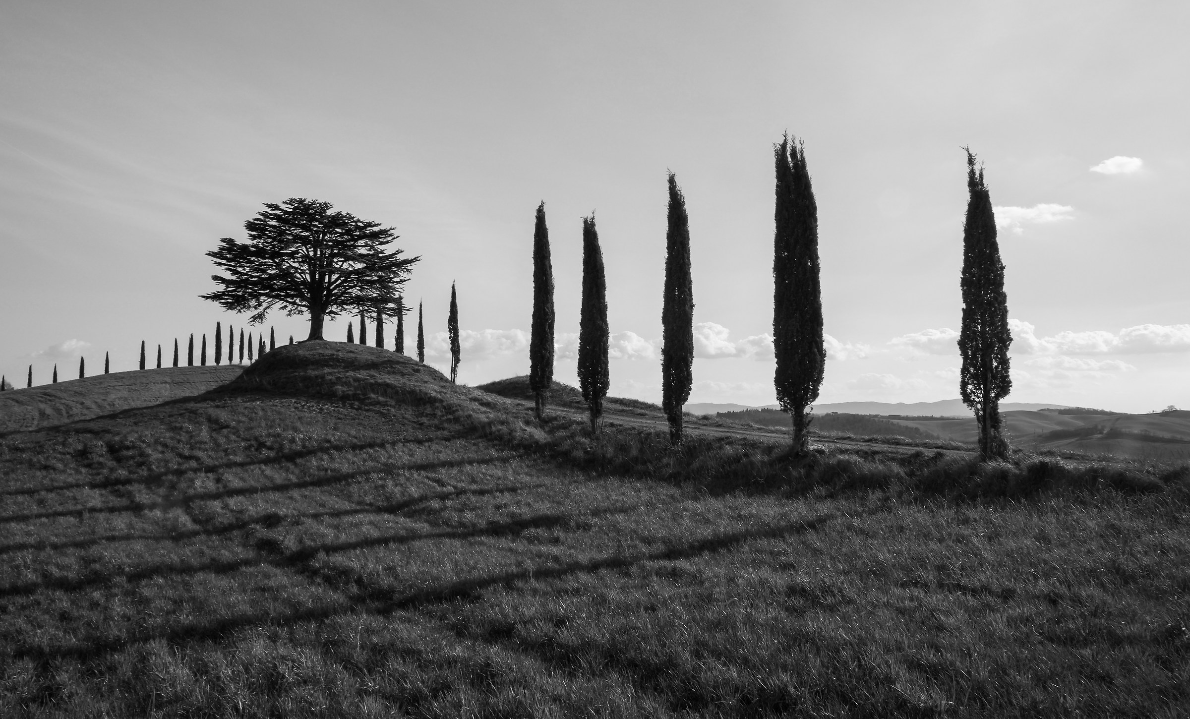 la bella Toscana