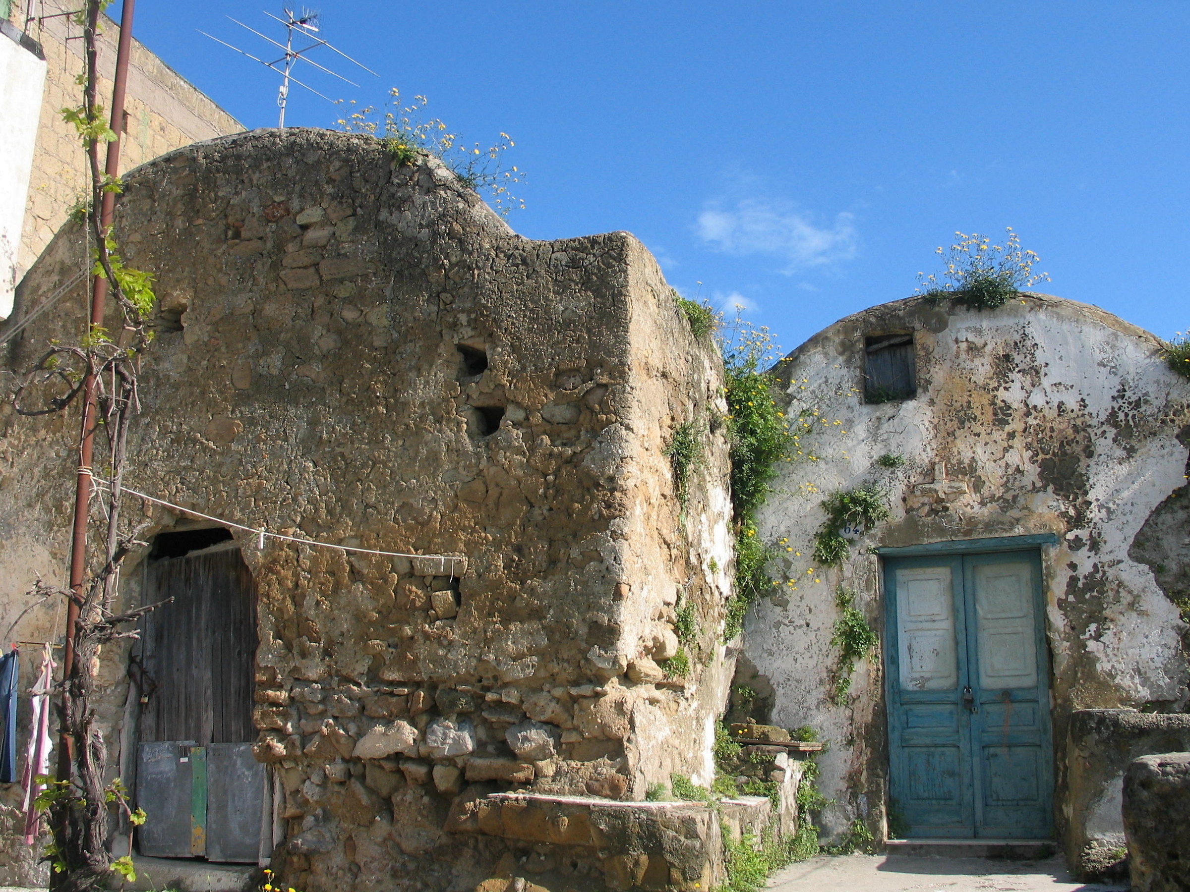 Cellai del Monte di procida