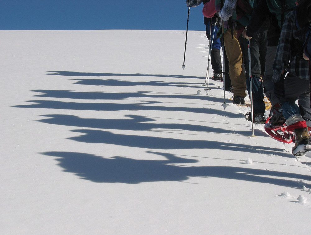 Shadows on the snow