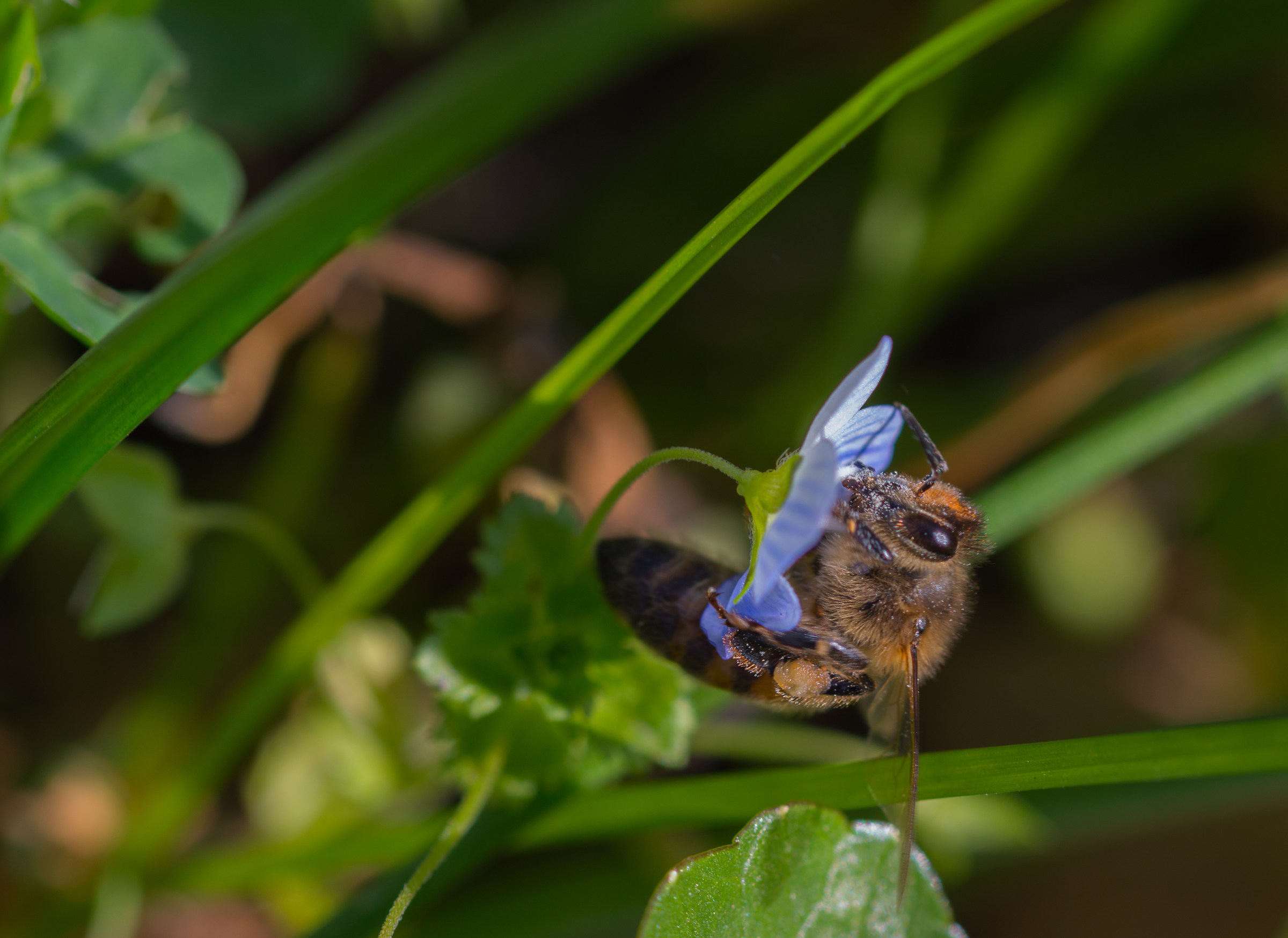 ... You want to dance with me?