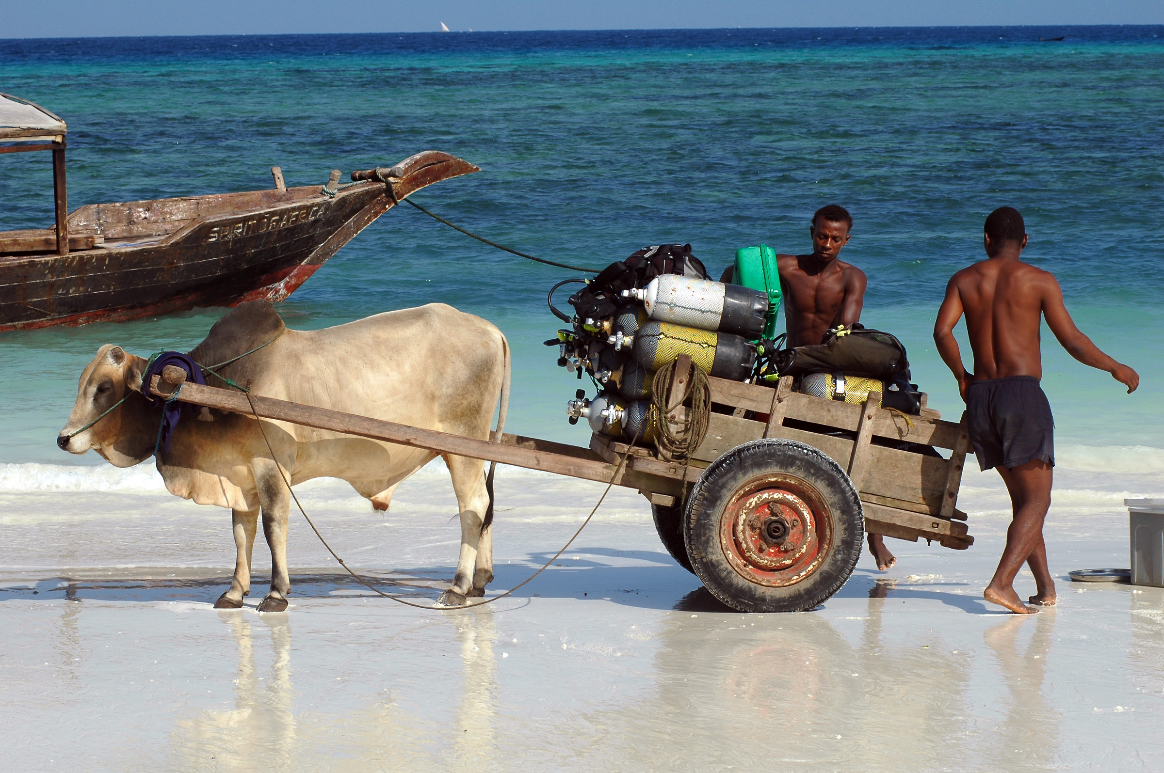 Unusual means of transport