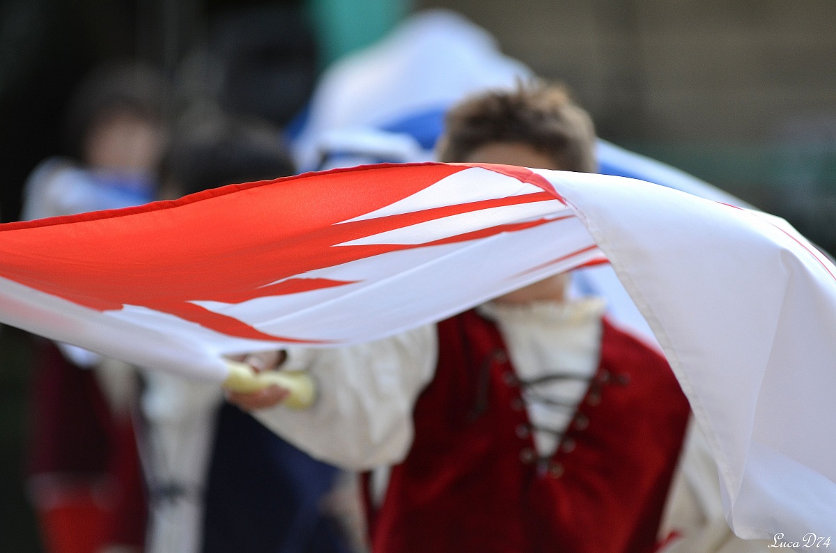 The flag-waver anonymous