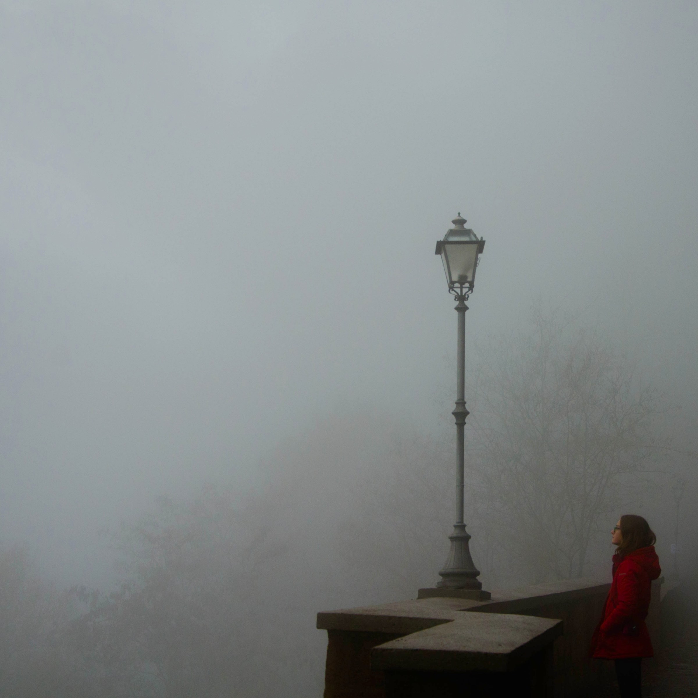 Pensieri nella nebbia