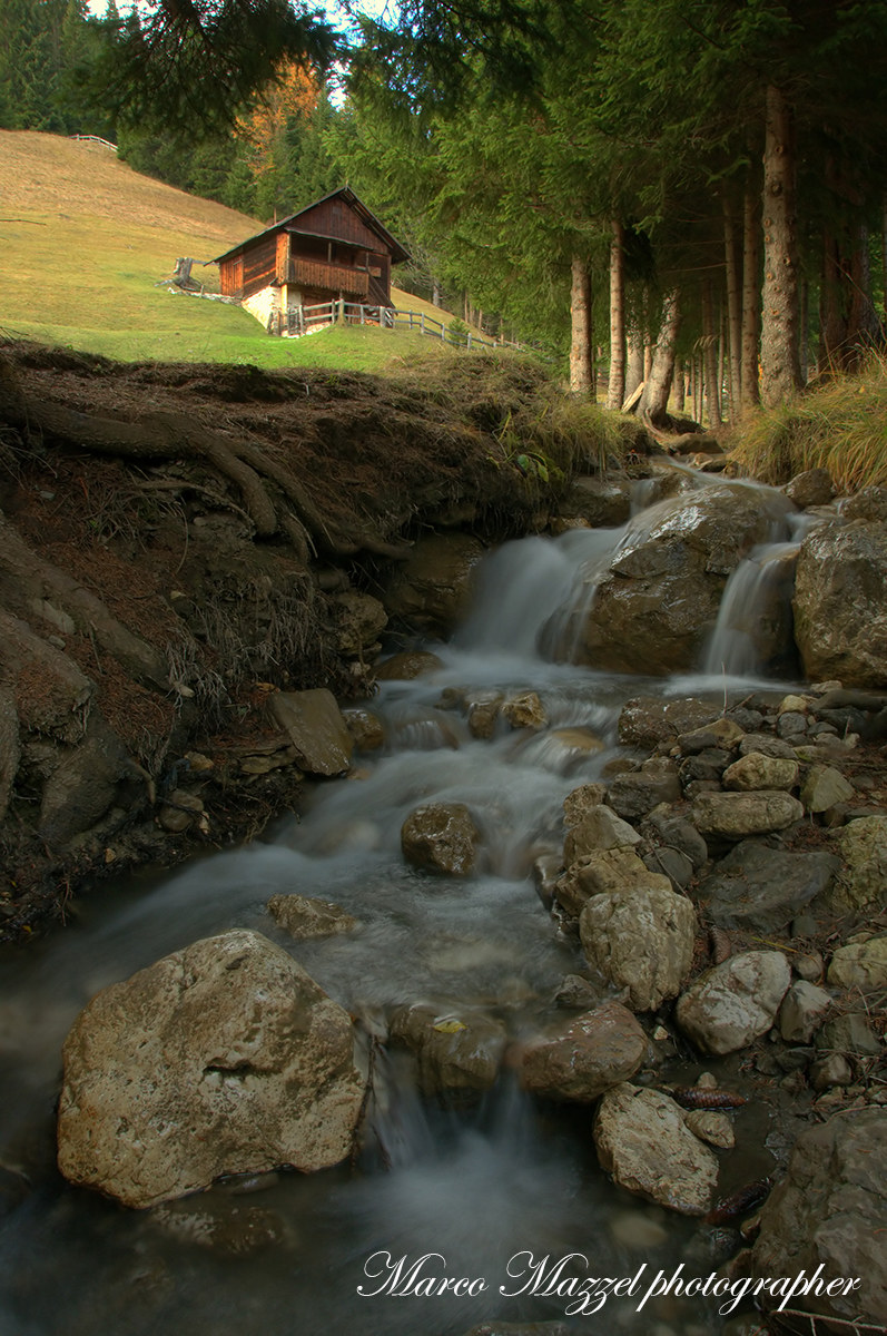 Lupo Bianco e le sue meraviglie