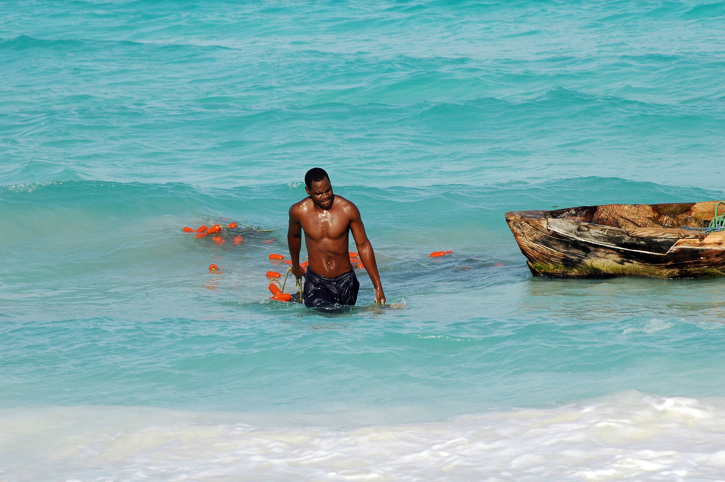 What a wonderful color !!!!!