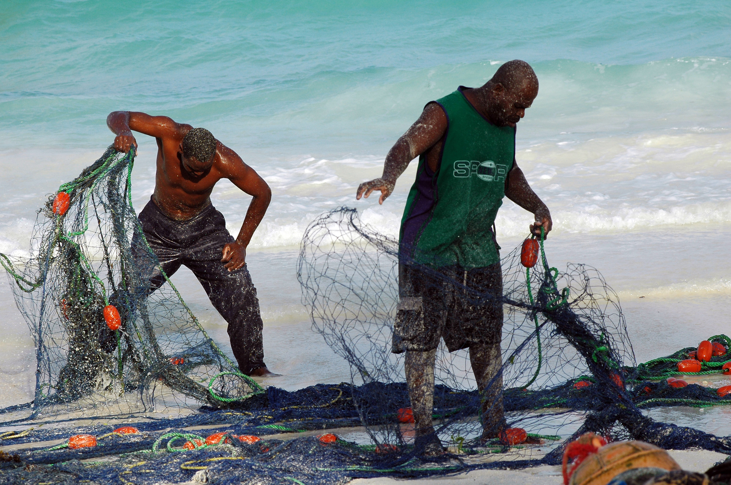 Cleaning the nets