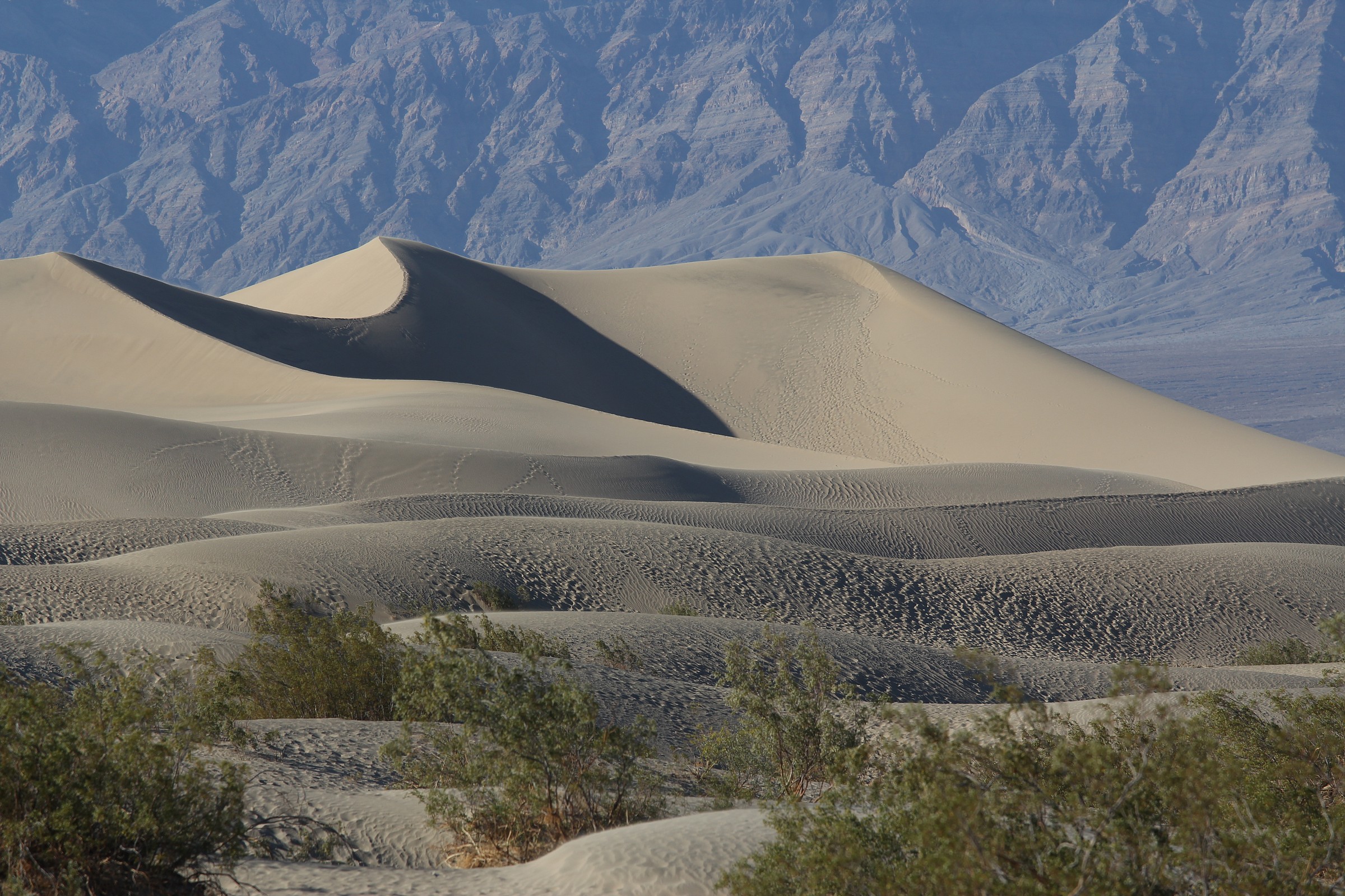 Death Valley del deserto