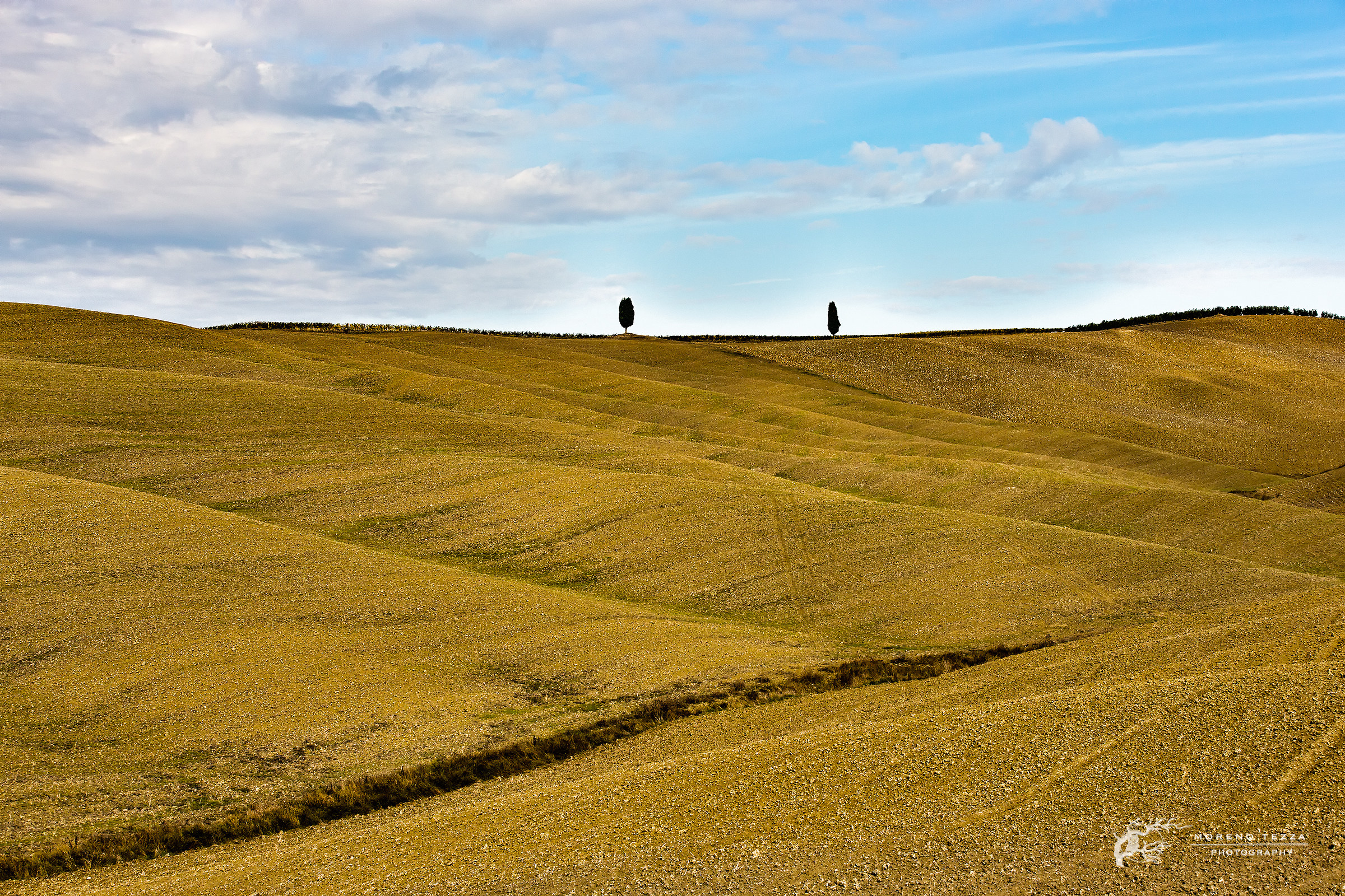 Val d'Orcia - Sentinels