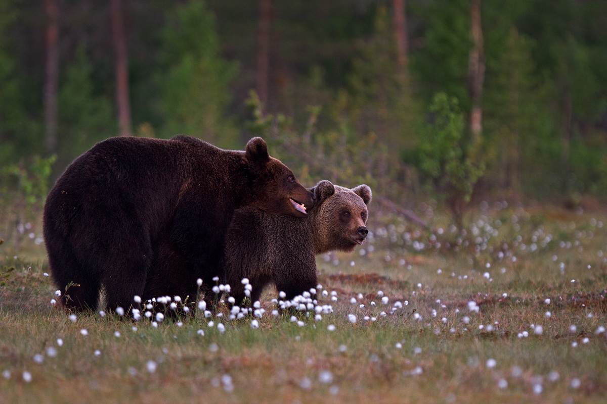 Nature is nature!!!!!