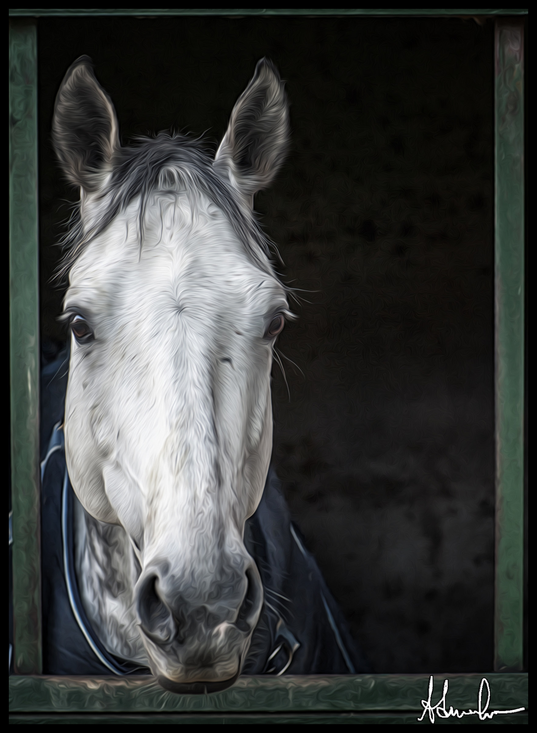 Horse with no name