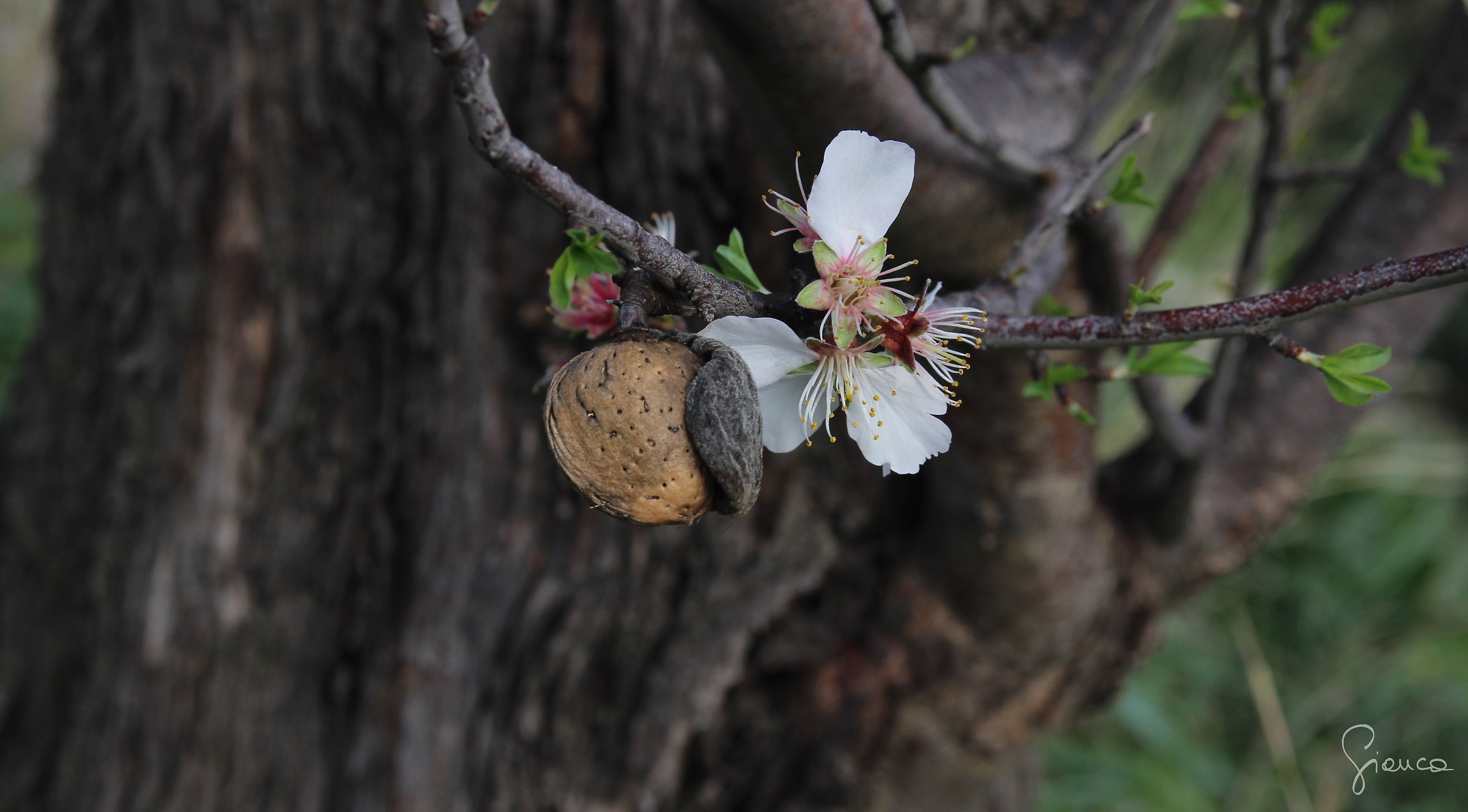 The past and the future