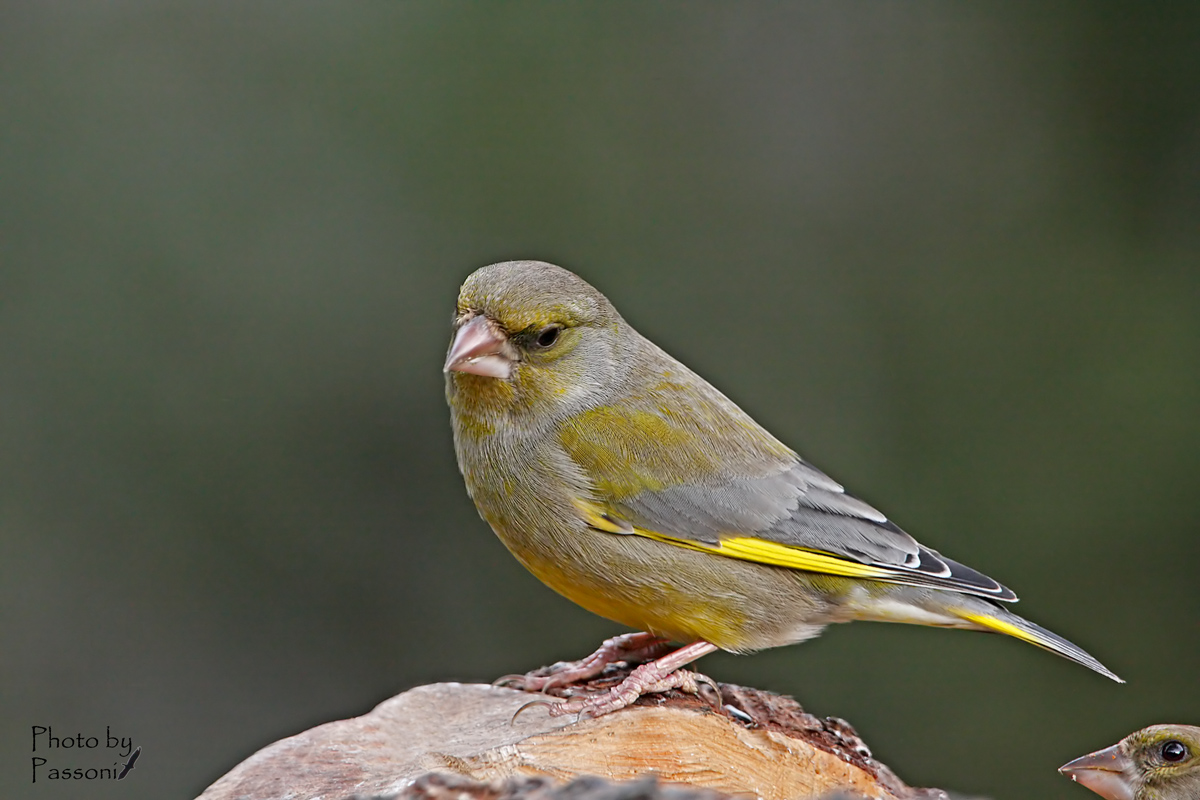 But what do you watch!