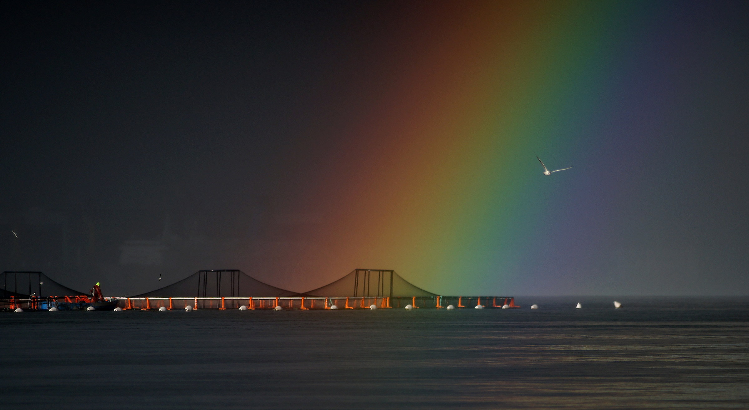 Ad un colpo di remi dall'arcobaleno