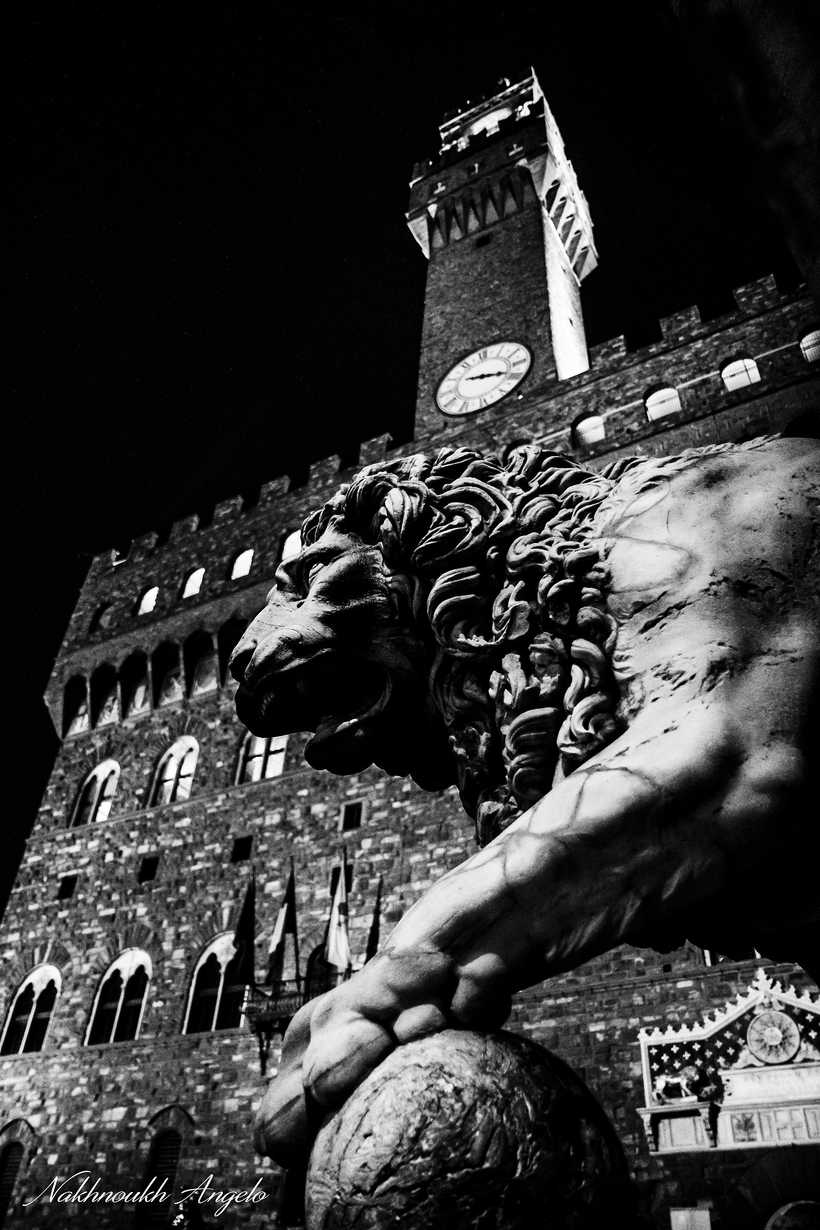 Palazzo della Signoria - Florence