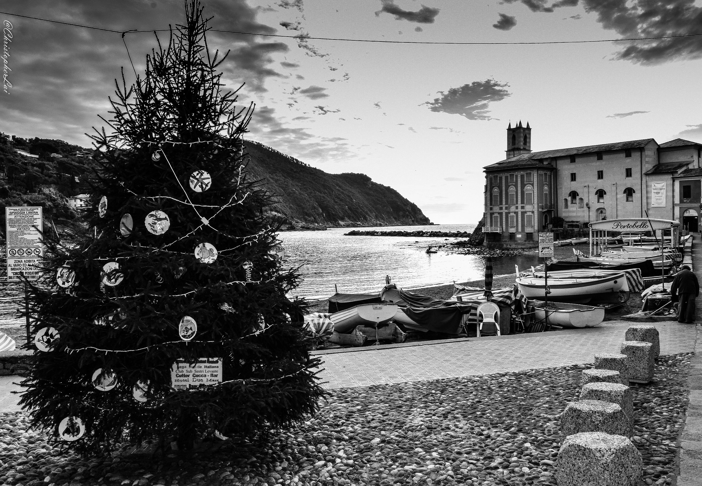 Christmas has arrived in the bay