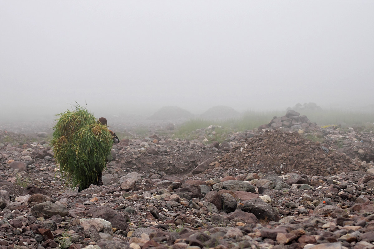 Donna berbera al lavoro nella nebbia