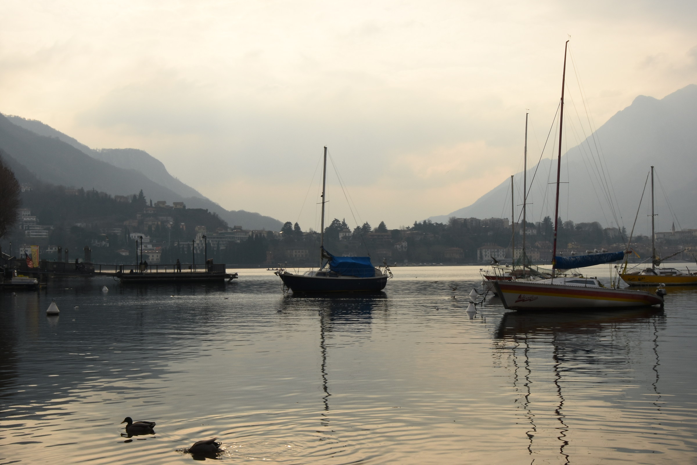 Winter colors on the lake