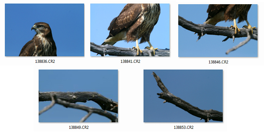 Photo used for the previous image