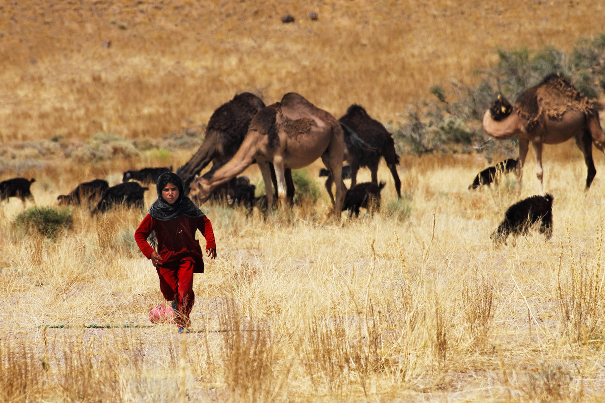 Shooting ... of the shepherdess child ...