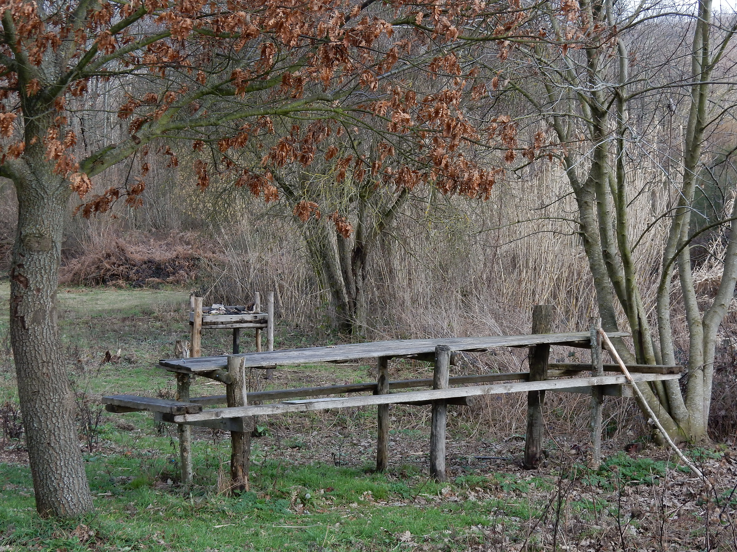 A ride in the countryside 3