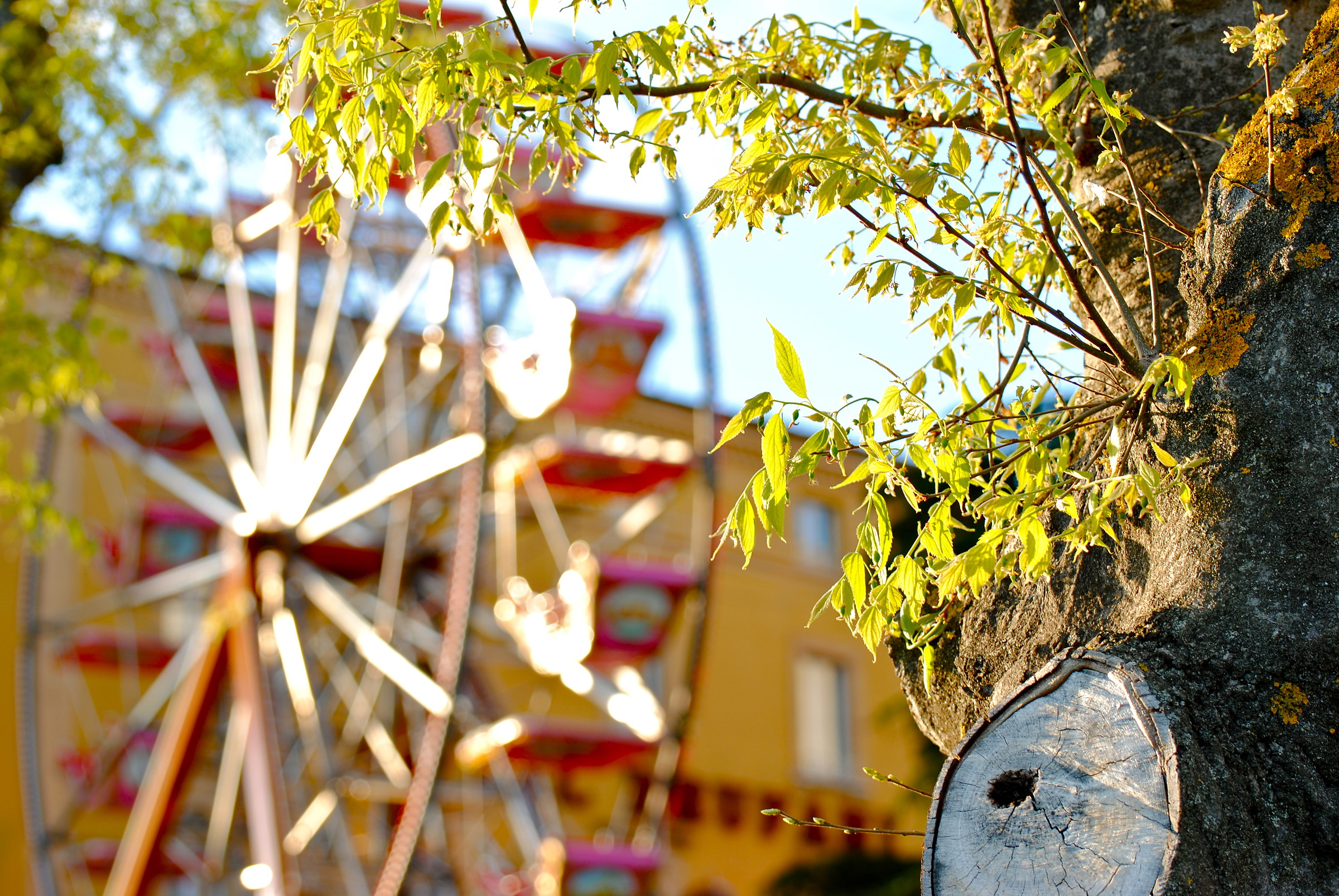 It rotates Overview Perugia