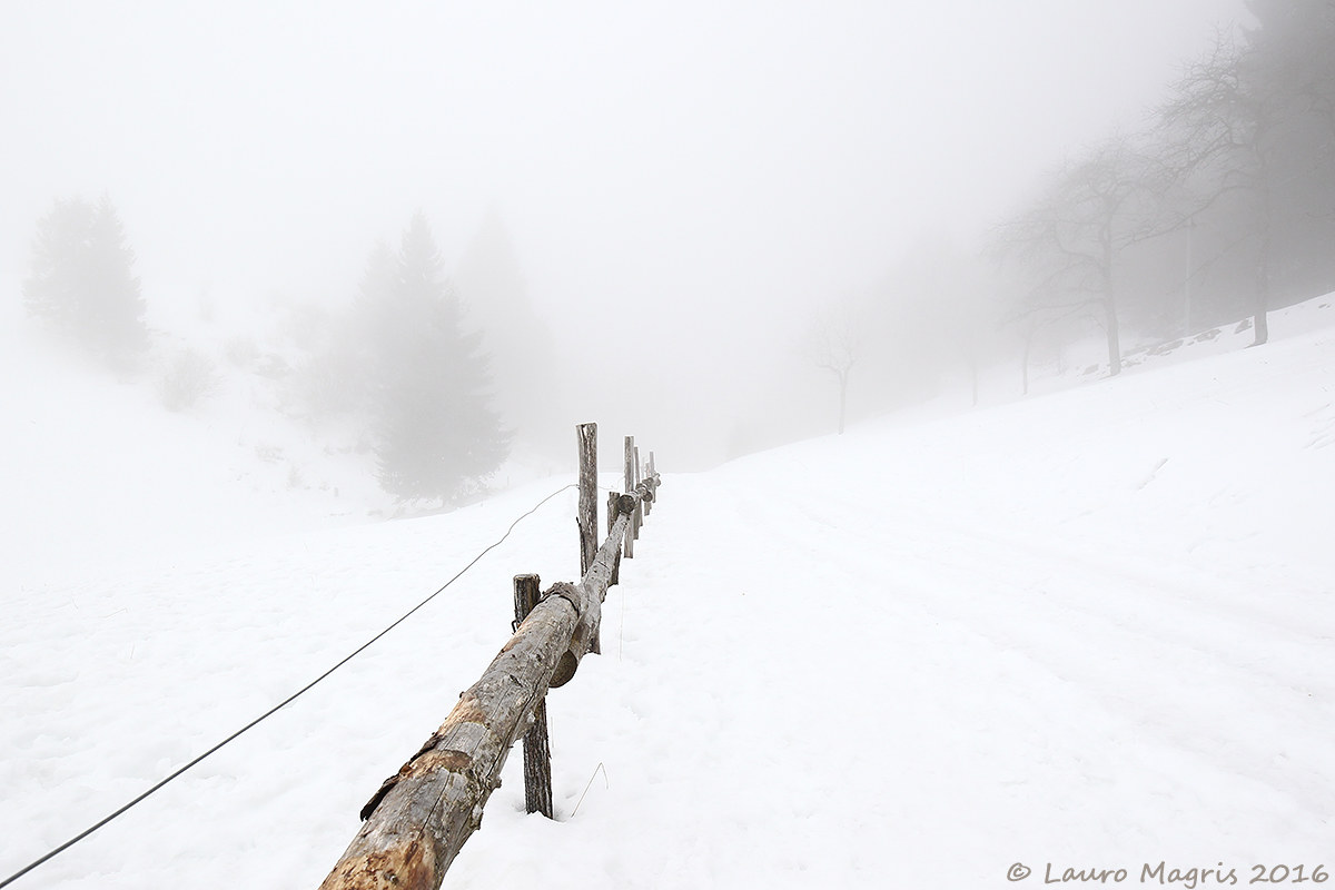 Prospettiva nella nebbia