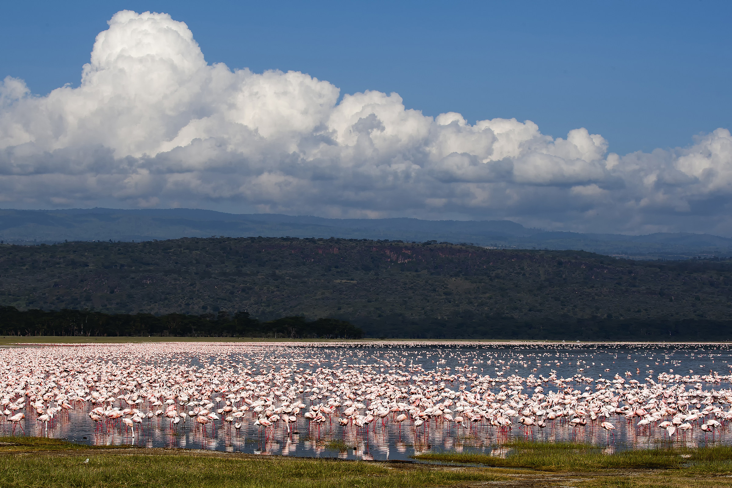 Lake Nakuru