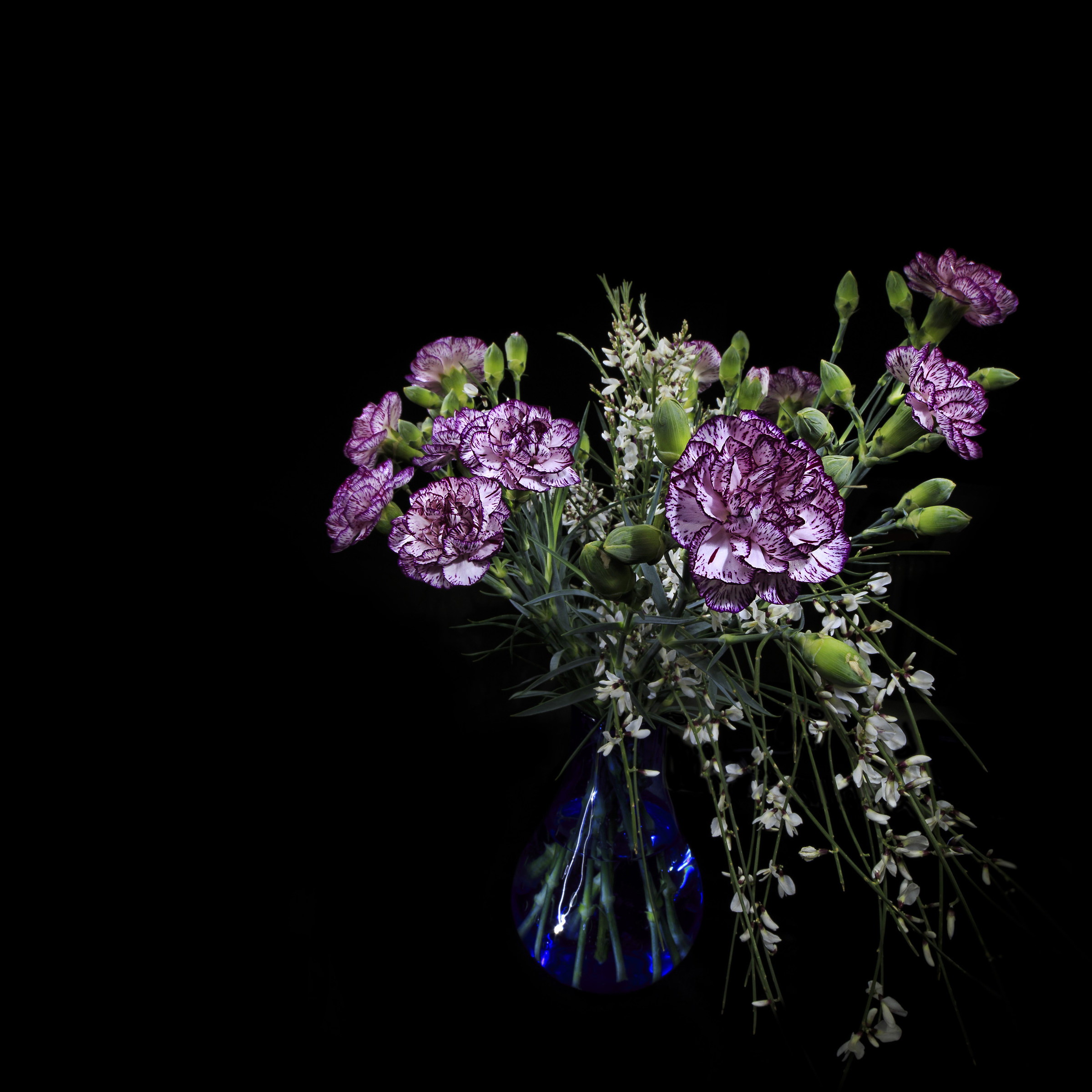 Still carnations, but this time with Samyang 14 mm
