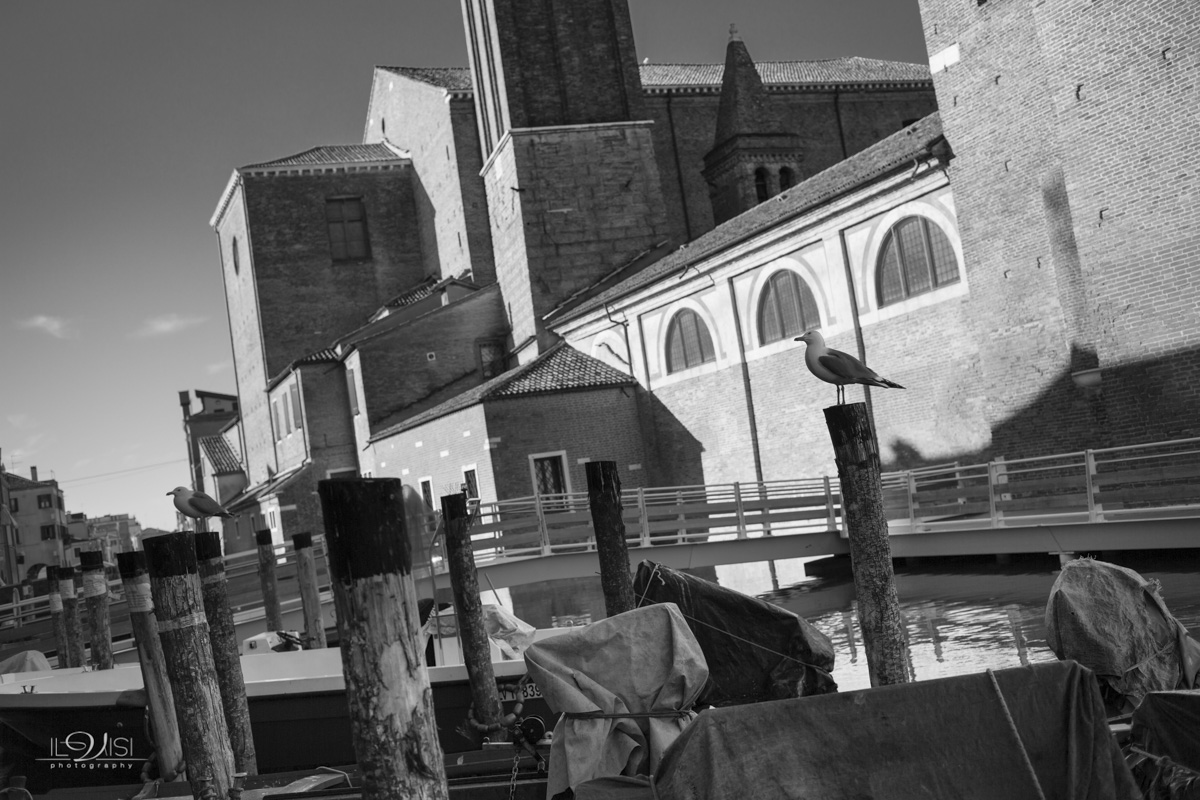 Chioggia