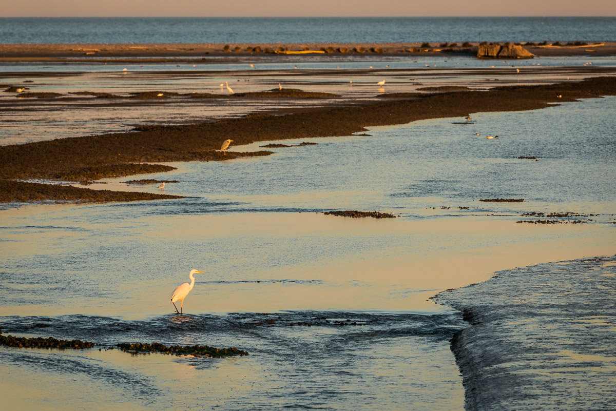 Fine giornata in Sacca