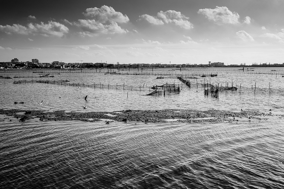 Chioggia e la sua laguna