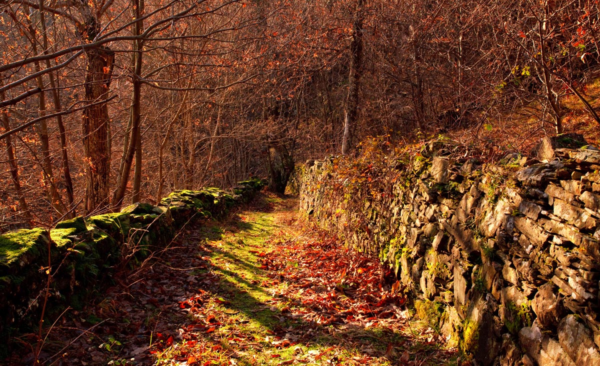 The warmth of the light