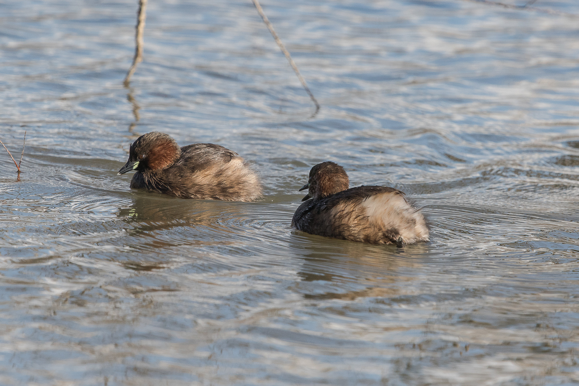 Ma dove eri finito!!!??