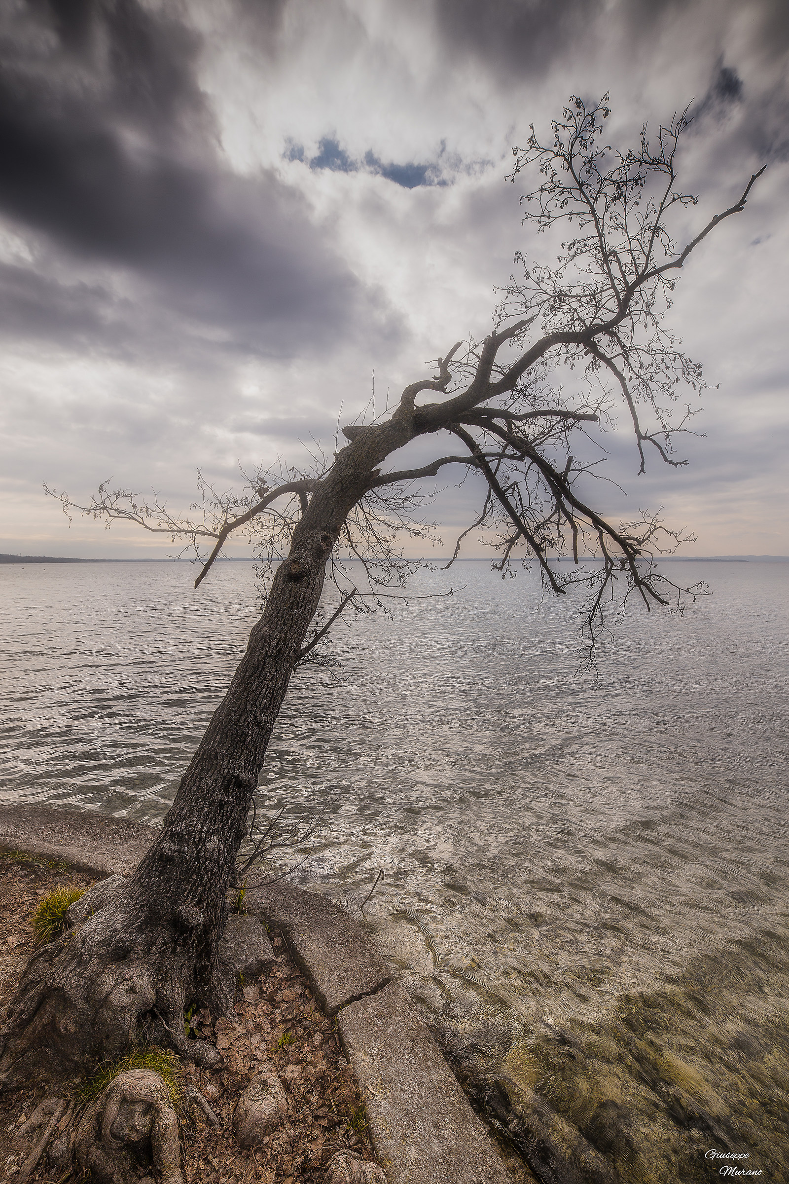 Salto verso il cielo..