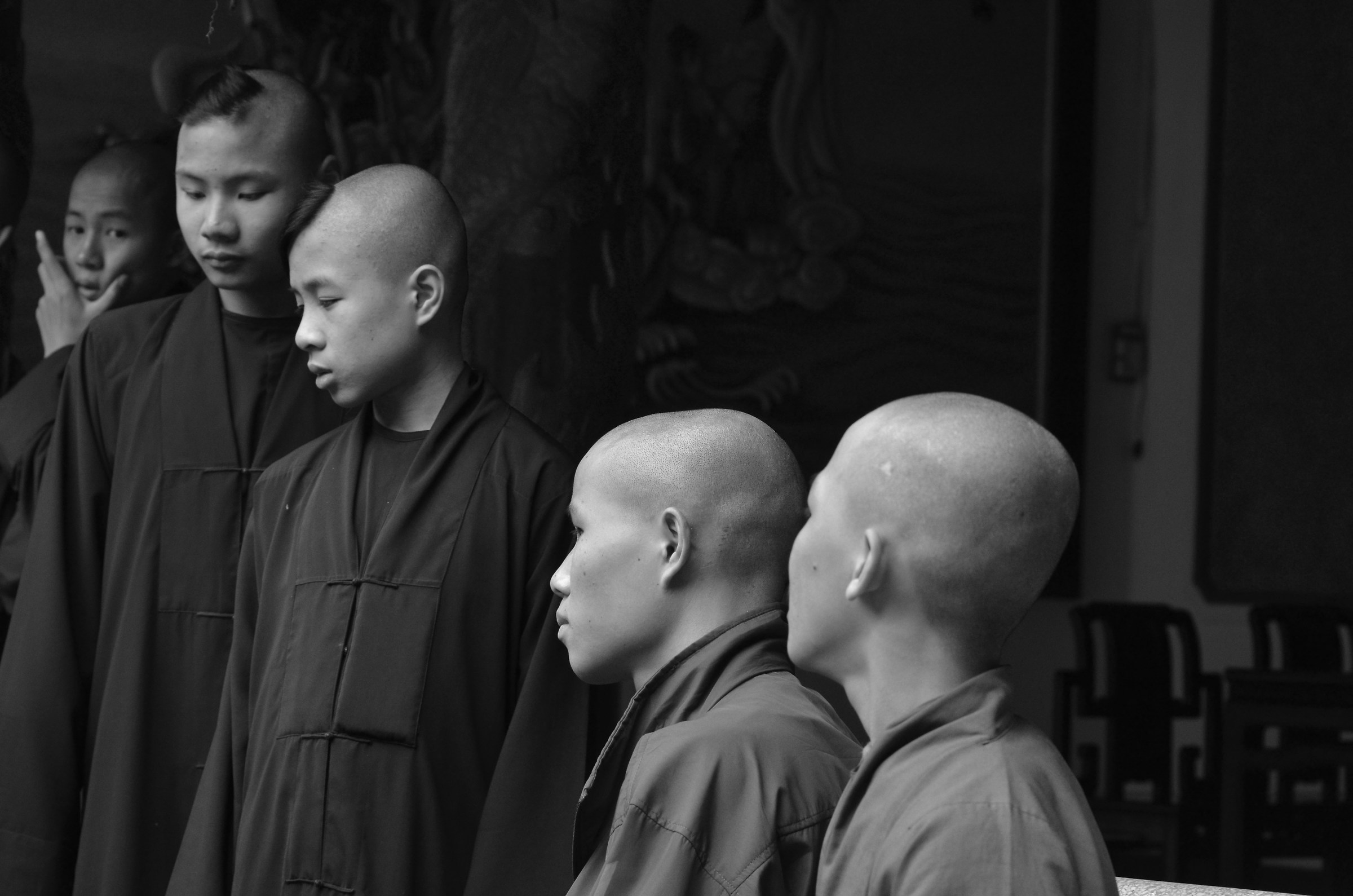 Vietnam Young Monks