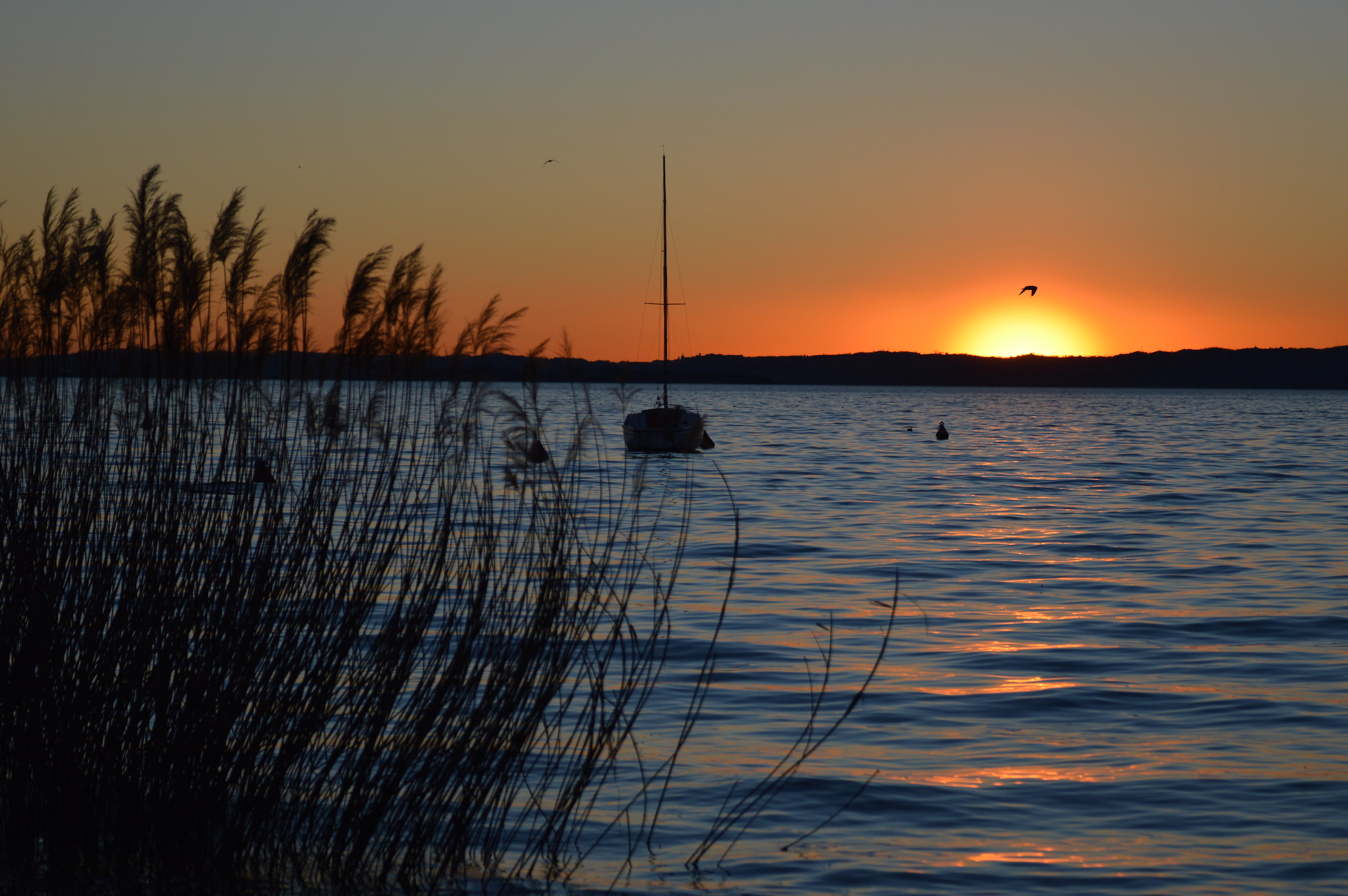 Sunset in Cisano (Lake Garda)