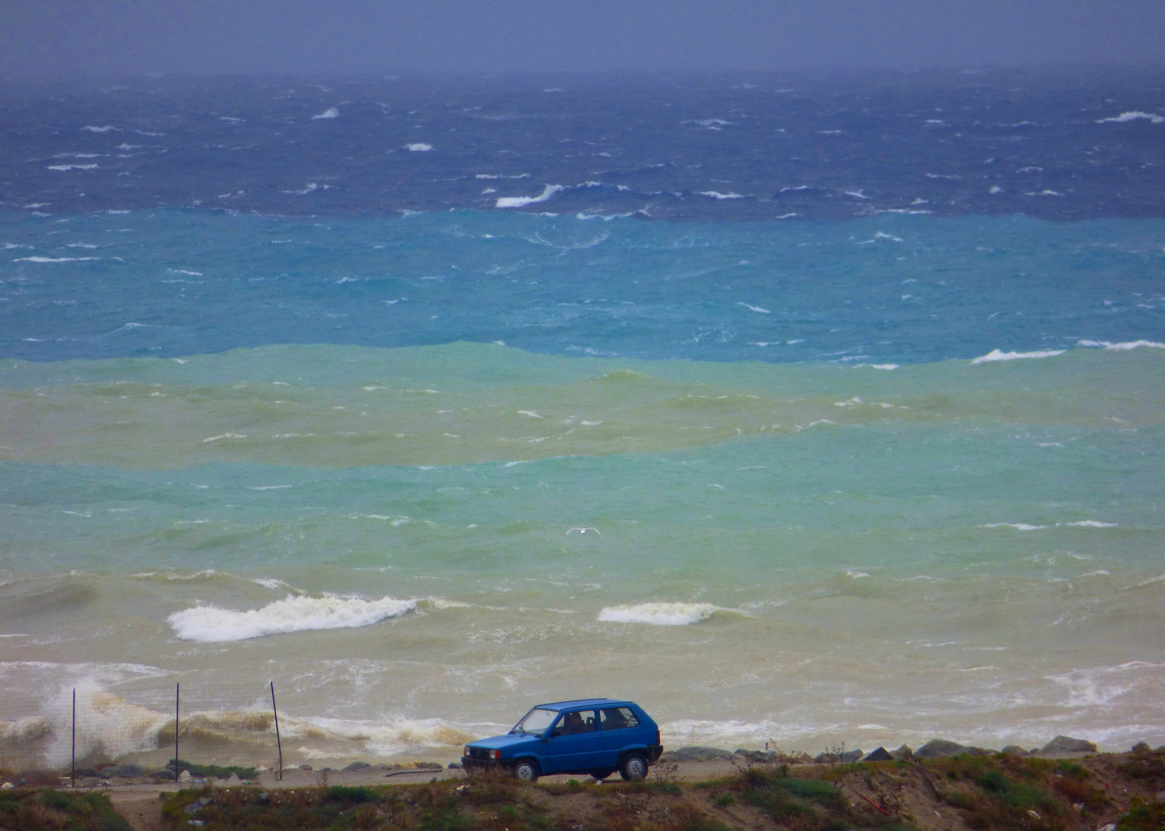 Blue car in a multicolor sea